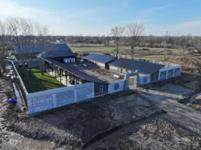 Big Cat Bungalows at The Haven - Lion 4